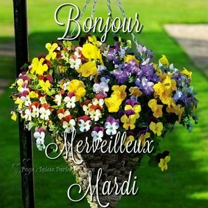 Meet your Posher, Pierre